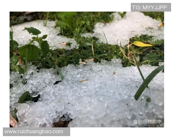 突如其来的冰雹袭击比赛场地短暂中断半小时场面震撼人心